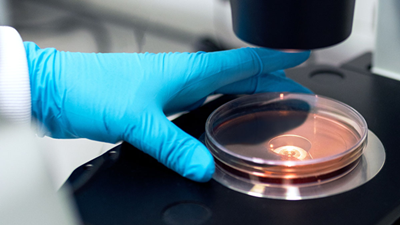 blue gloved hand in lab