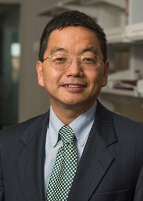 Xuefei Huang, Ph.D