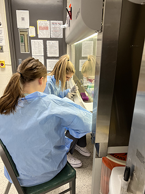 Students in Sarah Comstock's lab conducting research